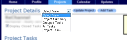 Project Views